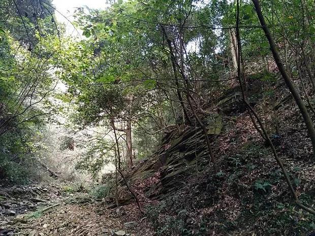 “校花”陈皖枝:因被丈夫宠爱,把自己养到3百斤,最终睡塌2张床